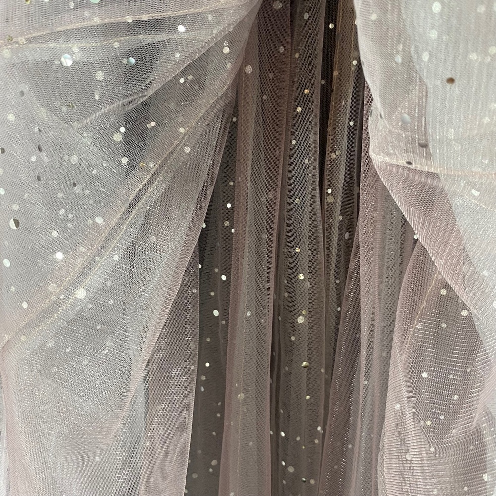 Crinoline Sparkle Dress - Picture 4 of 6